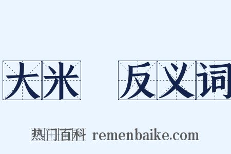 大米飯反义词是什么意思的图片